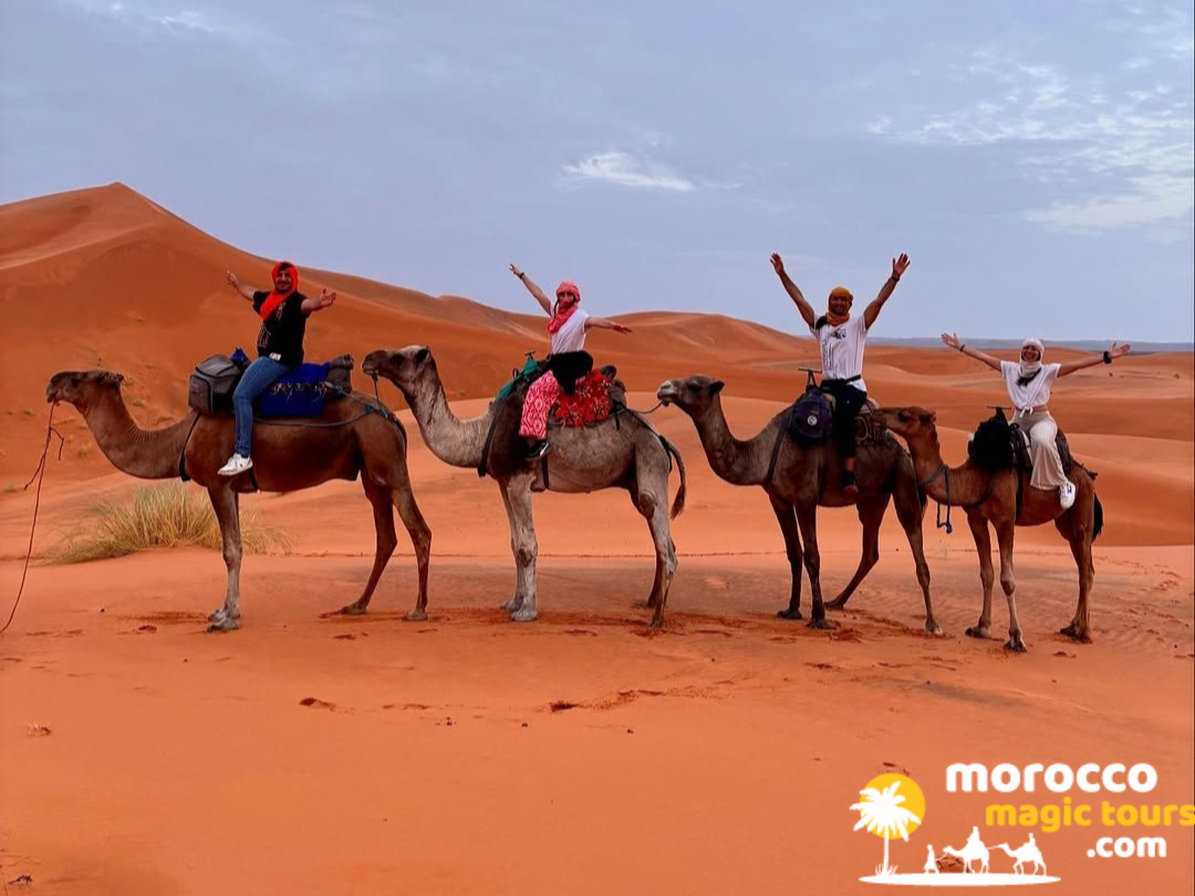 Happy travelers celebrating during a 3-day desert tour from Marrakech on dromedaries in the Merzouga dunes, one of the most popular Morocco tours from Marrakech