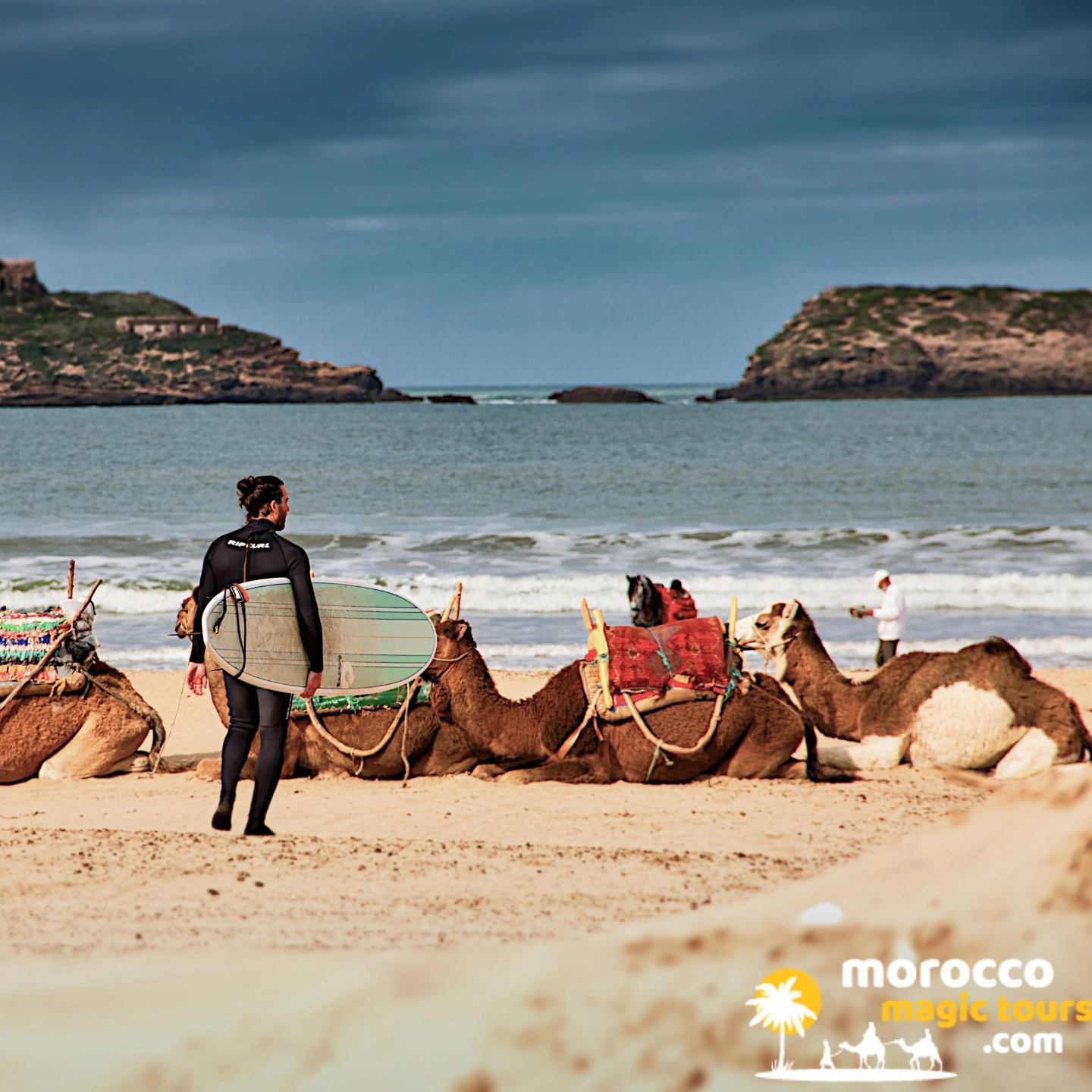 Surfer and camels on Morocco Essaouira beach